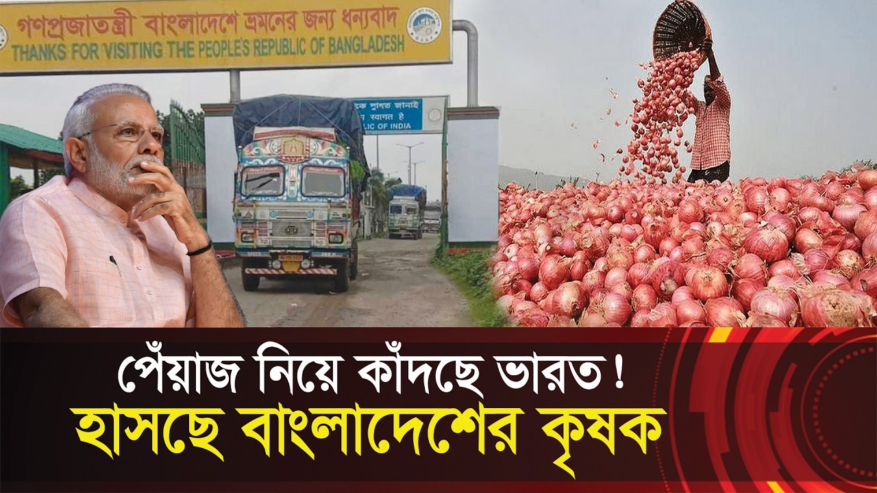 পেঁয়াজ নিয়ে কাঁদছে ভারত !! হাসছে বাংলাদেশের কৃষক !! Not India, Bangladesh produces huge onions