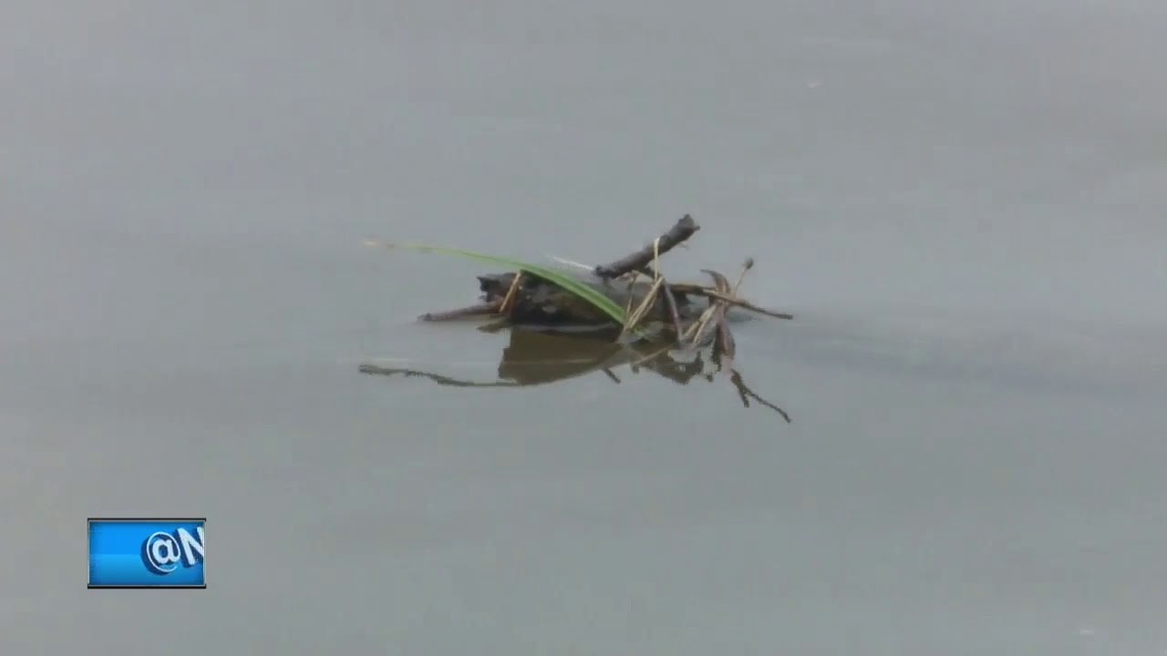 Oconto sending sewage into the river to prevent backups