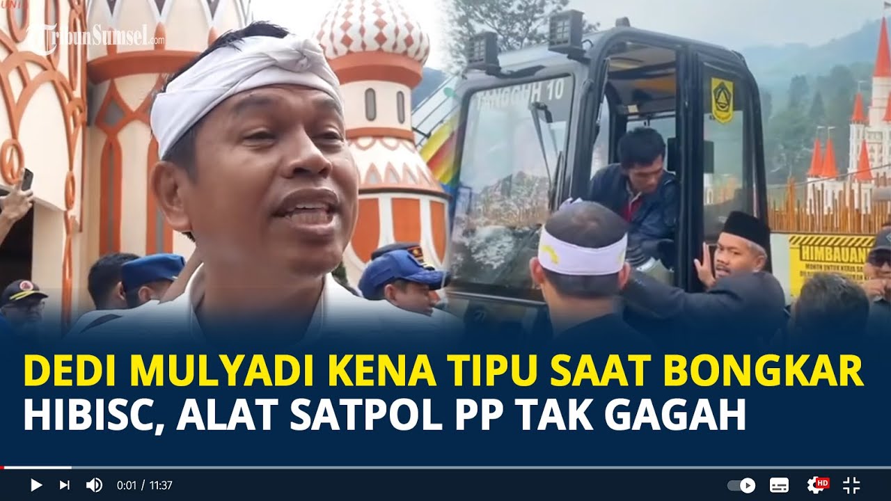 Dedi Mulyadi Kena Tipu saat Bongkar Hibisc, Alat SSatpol PP Tak Segagah Penertiban PKL Puncak