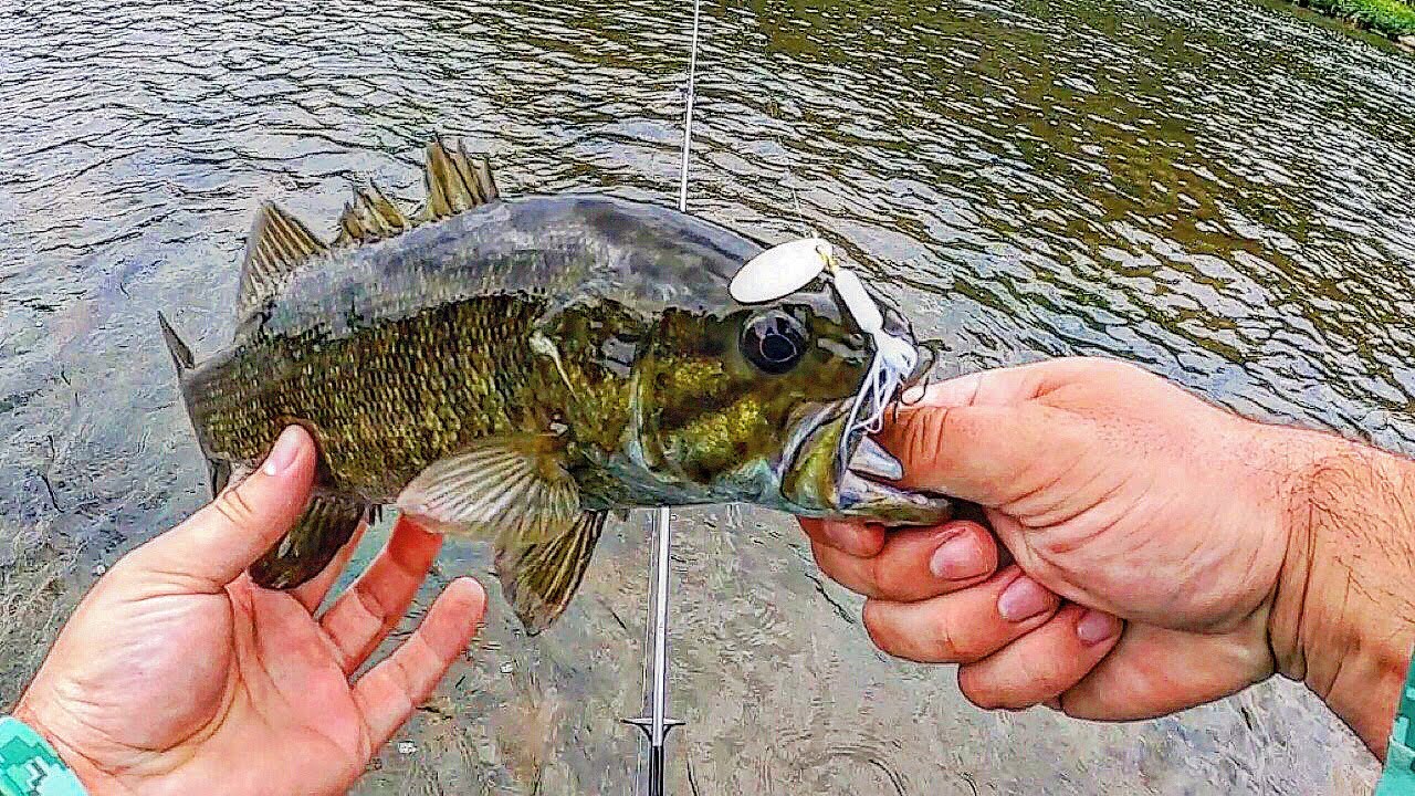 Kankakee River Smallmouth Fishing | Fishing with Rooster Tails