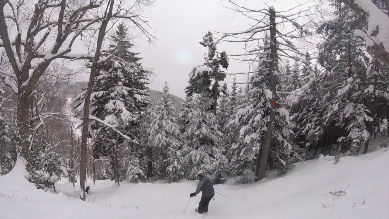 Chatiemac Glades at Gore Mountain