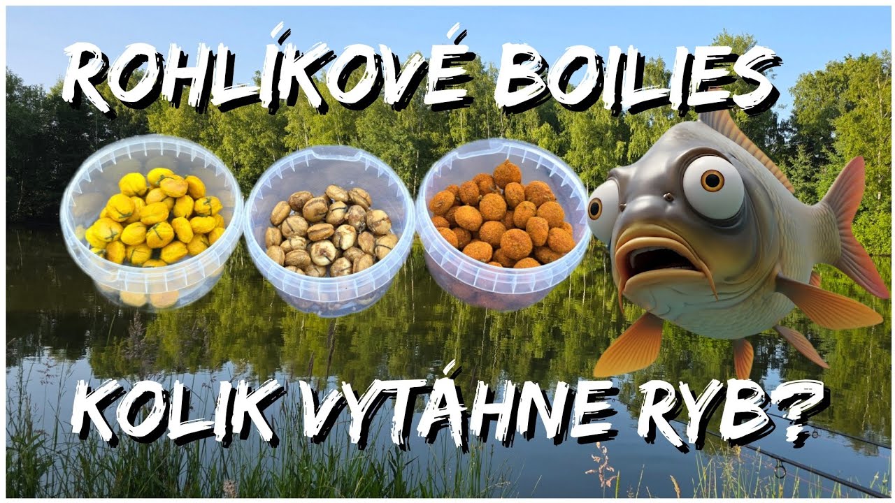 Lov kapra na domácí ochucené rohlíkové boilies 🎣