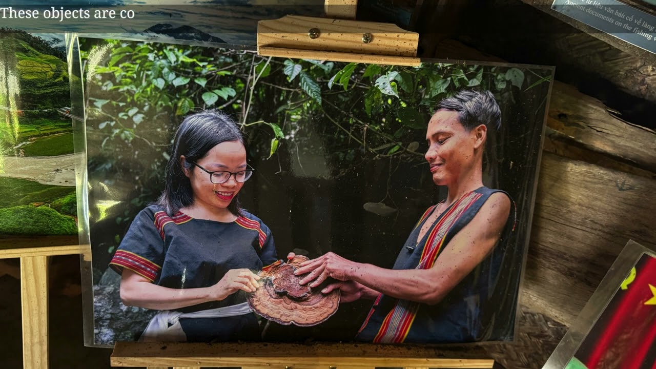 Dong Dinh Museum | Preserving Vietnamese Cultural Heritage