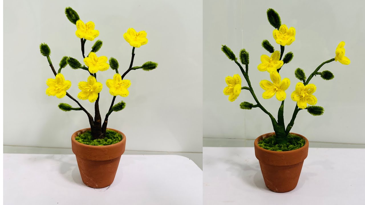 Làm chậu mai mini kẽm nhung/ hoa mai kẽm nhung