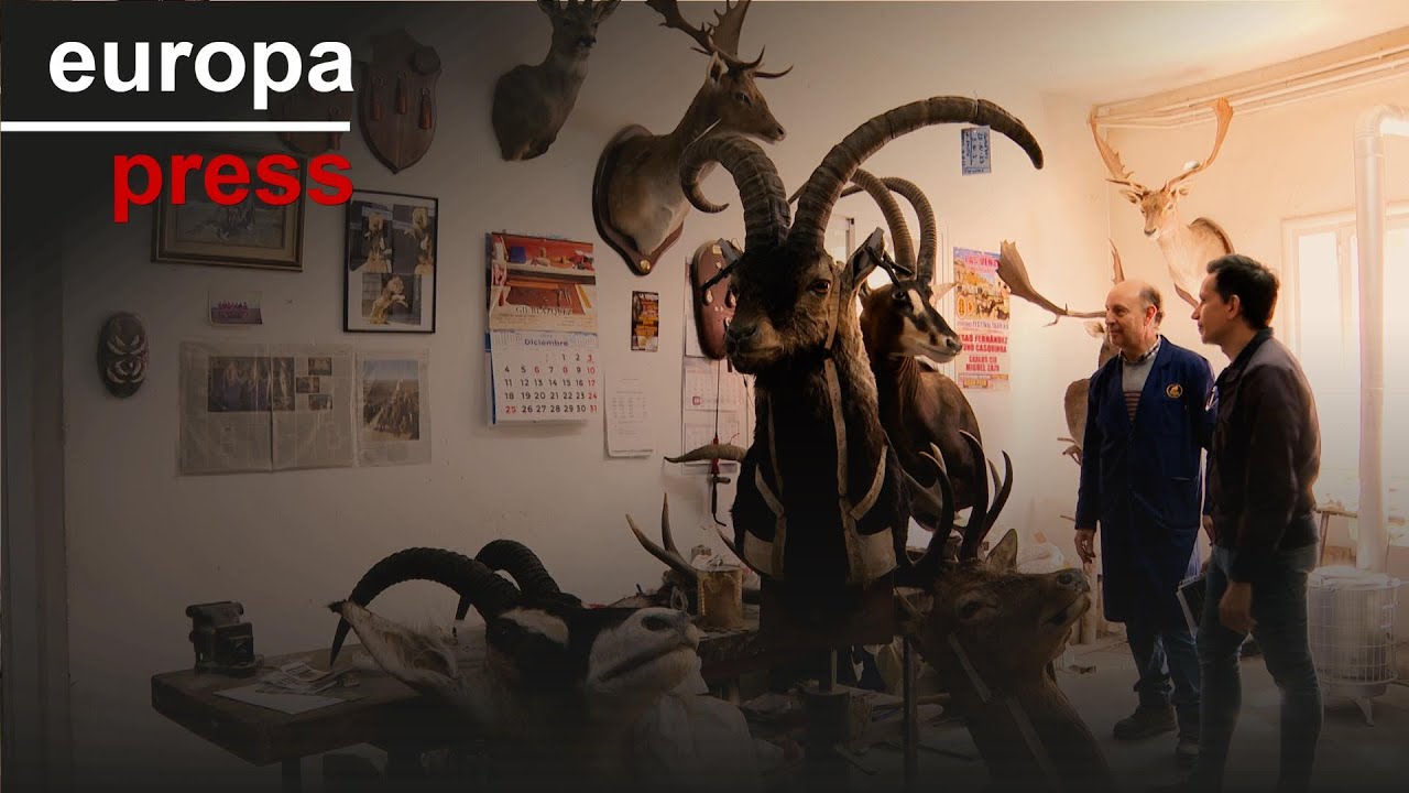 Taxidermia Medina, la familia toledana que lleva 70 años eternizando animales