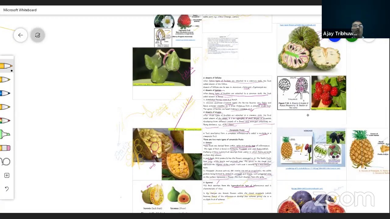 F.Y.B.Sc. Botany  Bridge Course 2020-21