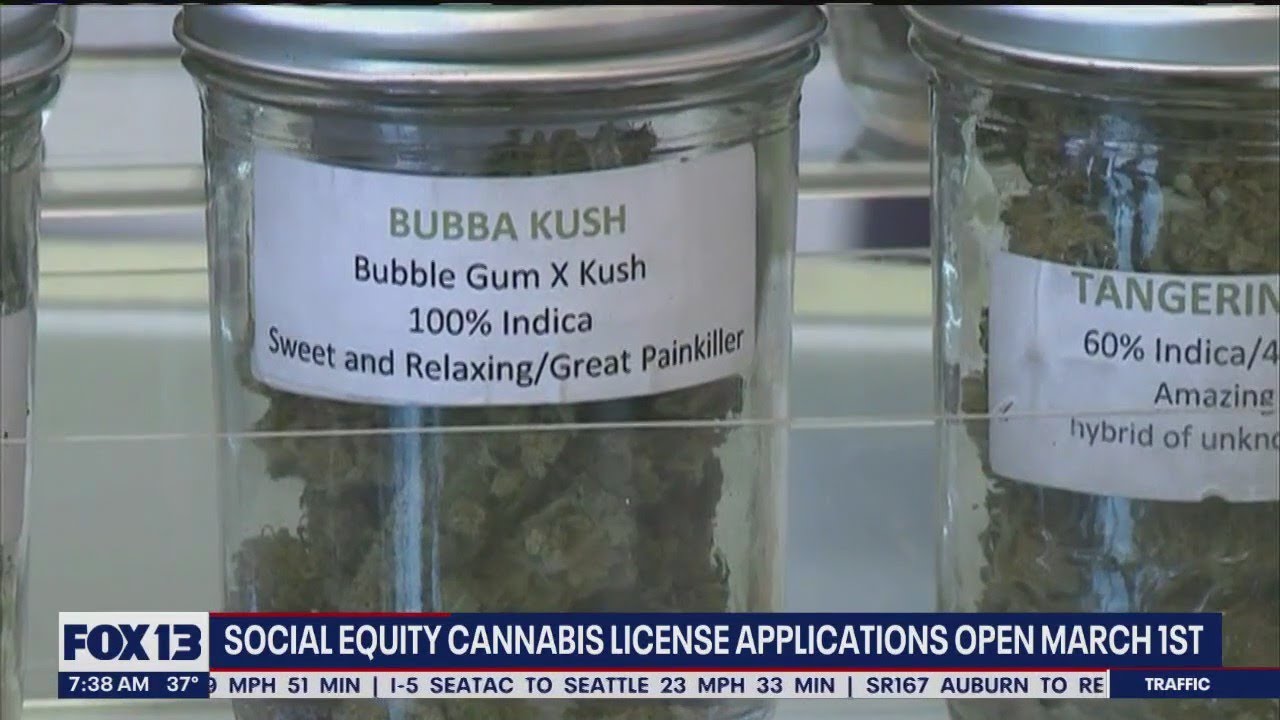 Social equity cannabis license applications open March 1 | FOX 13 Seattle