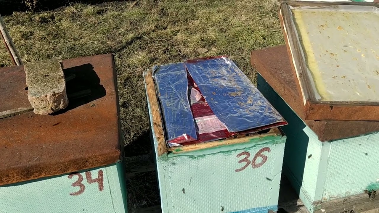 Стимулююча підгодівля для нарощування сили бджолосімей.