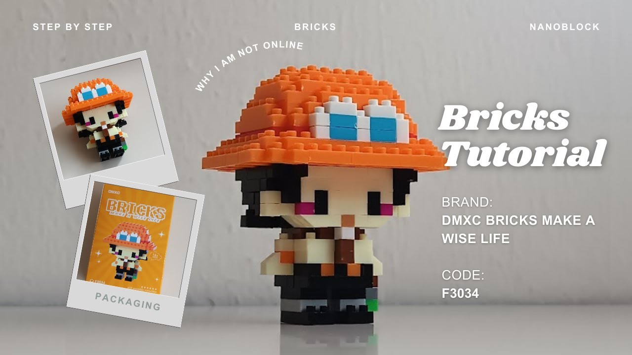 How to Build Ace One Piece Building Blocks | DMXC Bricks Make a Wise Life F3034 (198 Pieces)