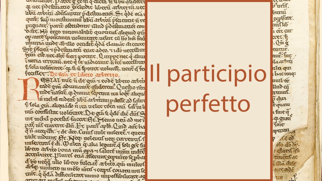 Participio perfetto latino