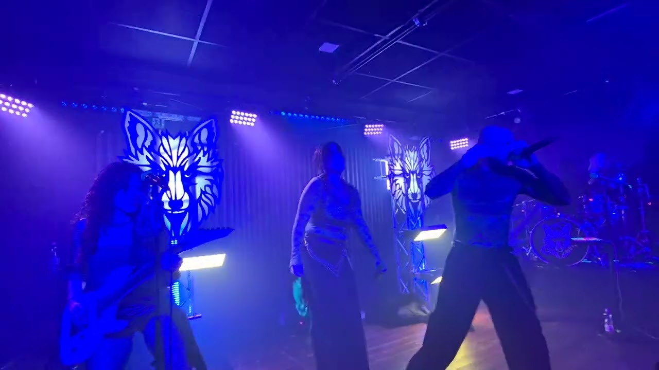 B&ouml;se Fuchs &ndash; It's My Life (Bon Jovi cover) (Live Budapest 2025, @A38HajoBudapest)