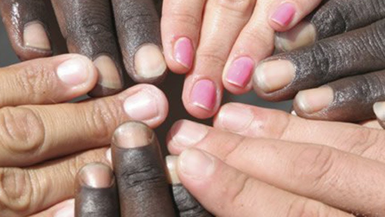 One Blood, One Race with Ken Ham