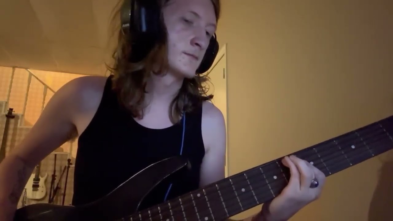 Teddybears (ft. Iggy Pop) - Punkrocker (Bass Cover)