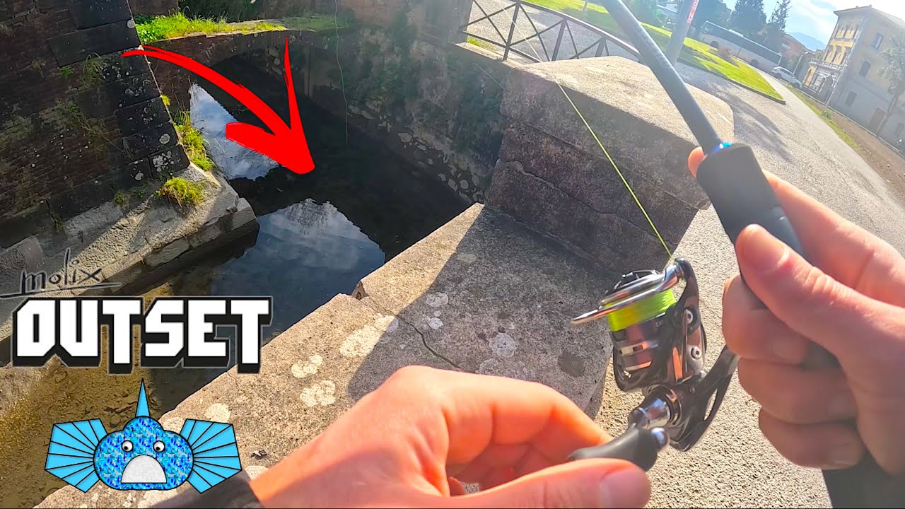 Ho Pescato nel Fossato delle MURA! Primi Test e Catture con le Nuove Canne Fishing & Biodiversity!