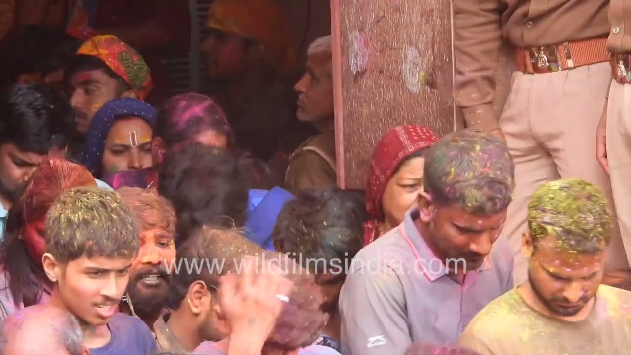 Multi coloured people play Holi at Barsana in Uttar Pradesh, their hair green and yellow