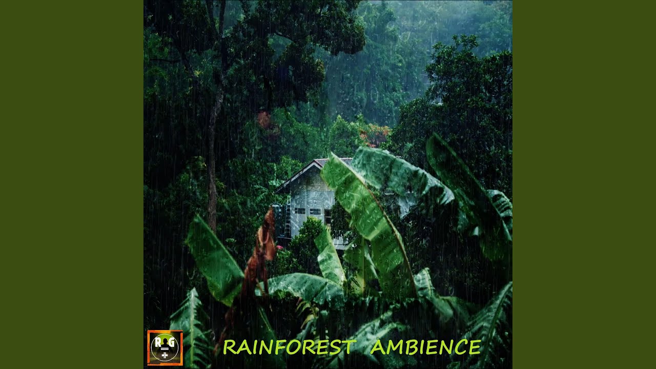 Rainforest Ambience with Sounds of Rain, Jungle Animals and Thunder in the Distance
