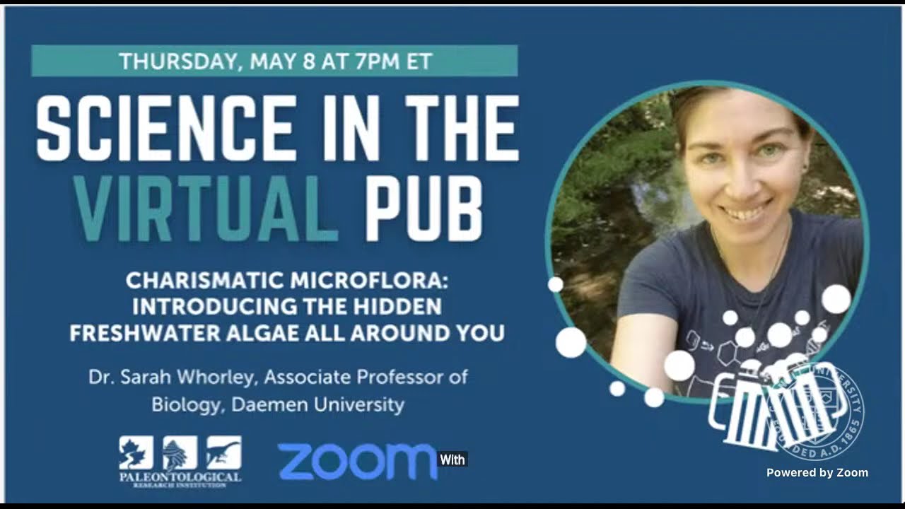 Science in the  Pub: Charismatic Microflora: Introducing the hidden freshwater algae all around you