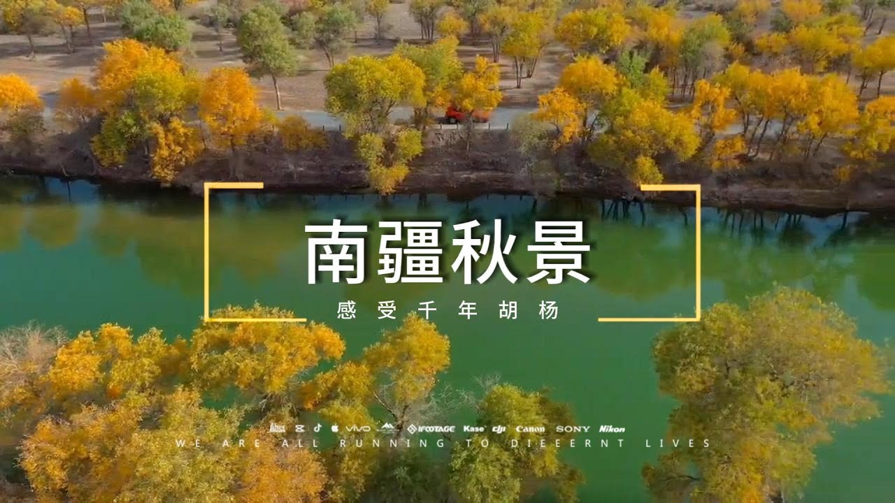 探访南疆四大胡杨林秘境｜金秋南疆旅游攻略