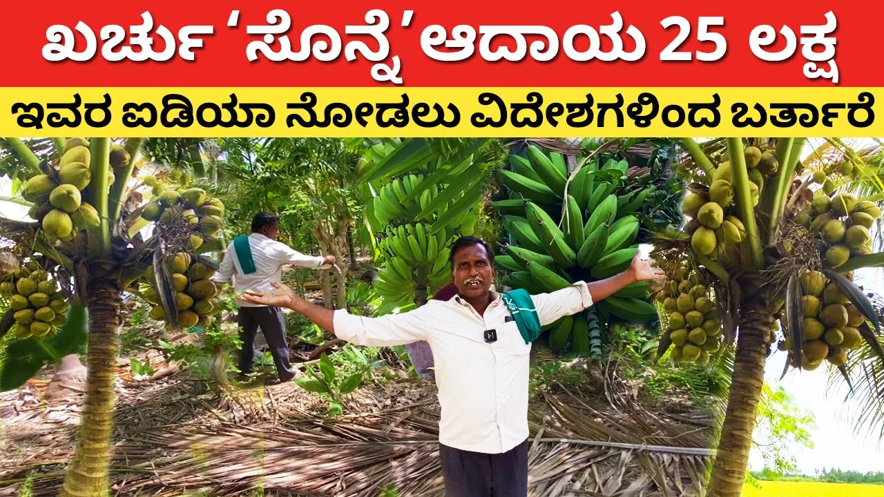Agriculture best idea in Karnataka | natural farming in Kannada | coconut  arecanut banana farming