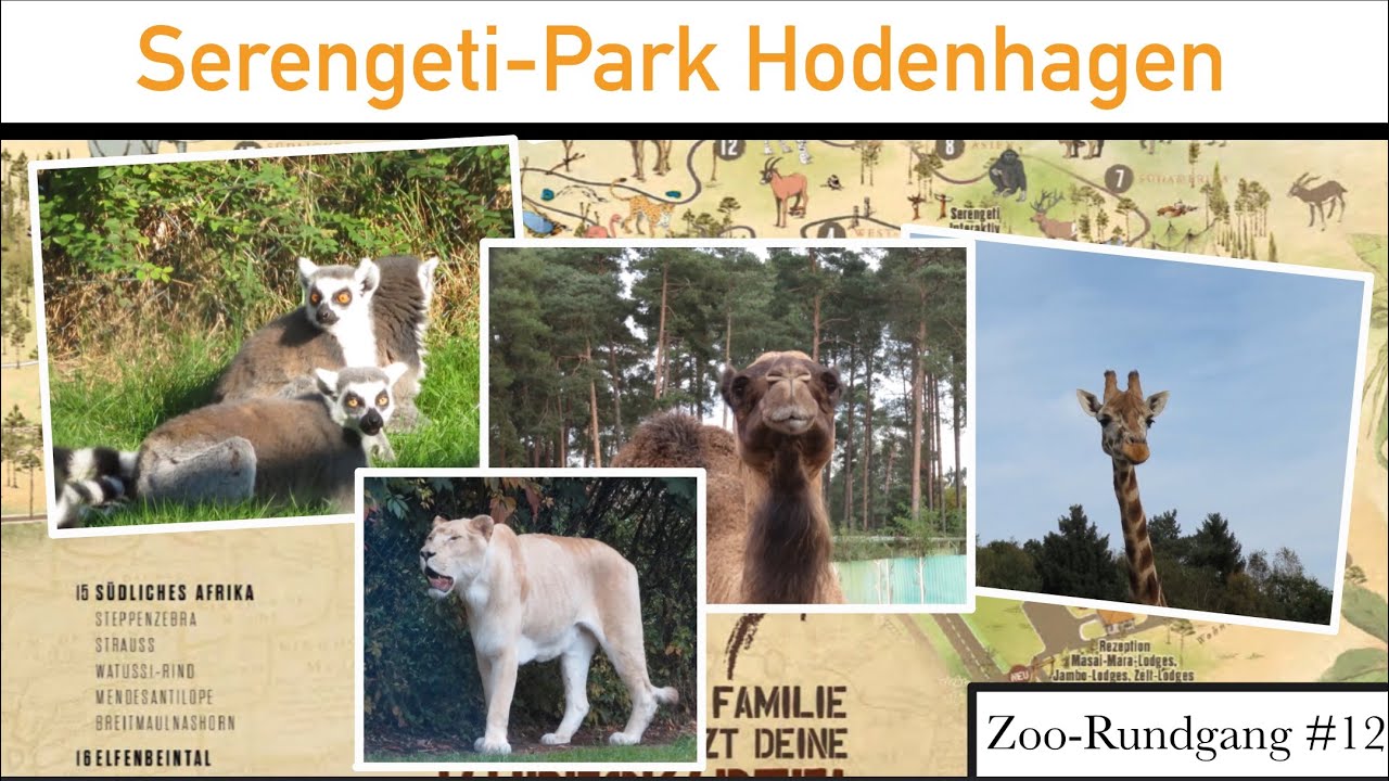 Serengeti-Park Hodenhagen 2021 🦏 | Zoo-Rundgang #12 | ZOOCEMBER #17