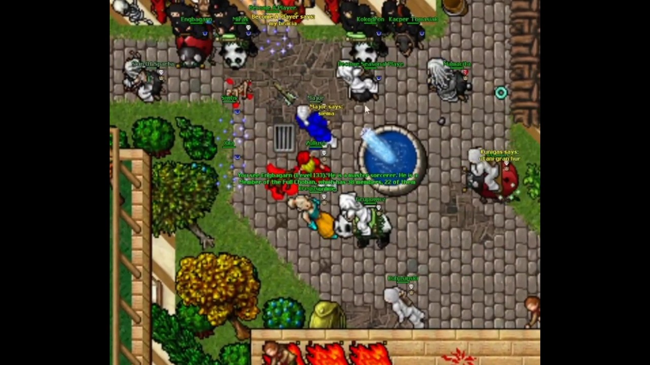 Retro Tibia PK Team - Valdora domination