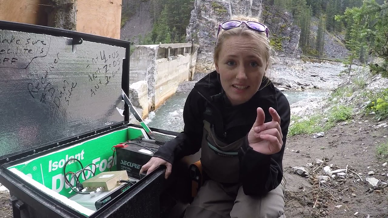40 Mile Creek Dam Removal