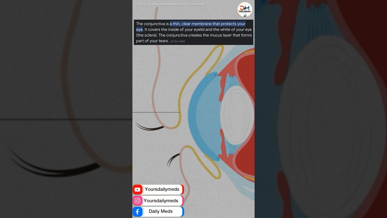 What is conjunctiva?? 🤔 #eye #conjunctiva #trending #reels #virlashort #video
