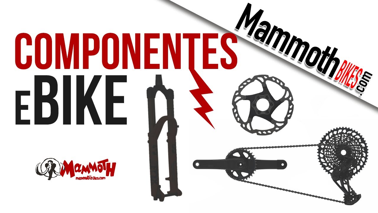 Componentes y Accesorios para Bicis de Asistencia El&eacute;ctrica