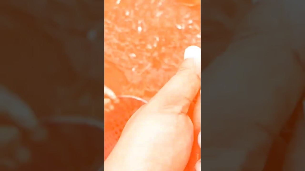 Thai Freshwater Prawn transfer to growthout pond. #prawnfarming #shortvideo #worldfish