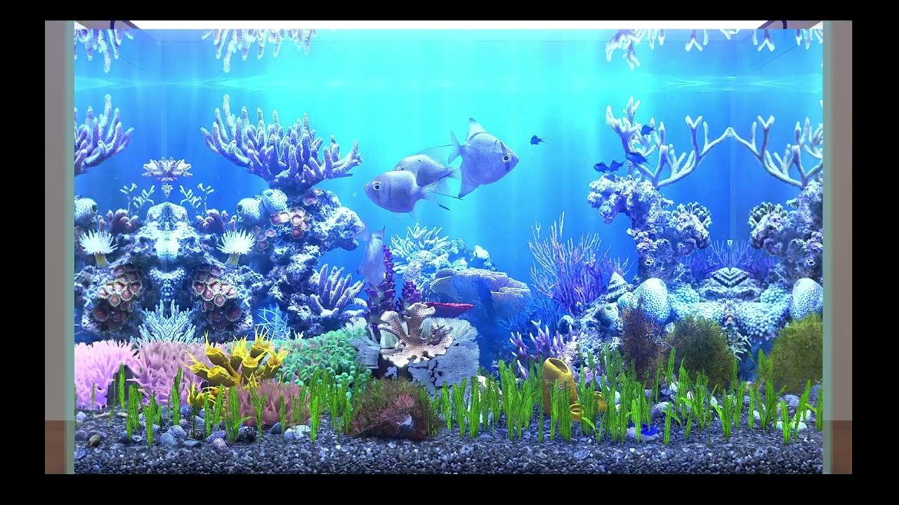 AQUARIUM / FISHTANK IDEAS - ultimate virtual fishtank