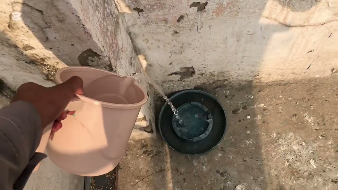 Aj hum toto ka pinjara banay gay 👍😉