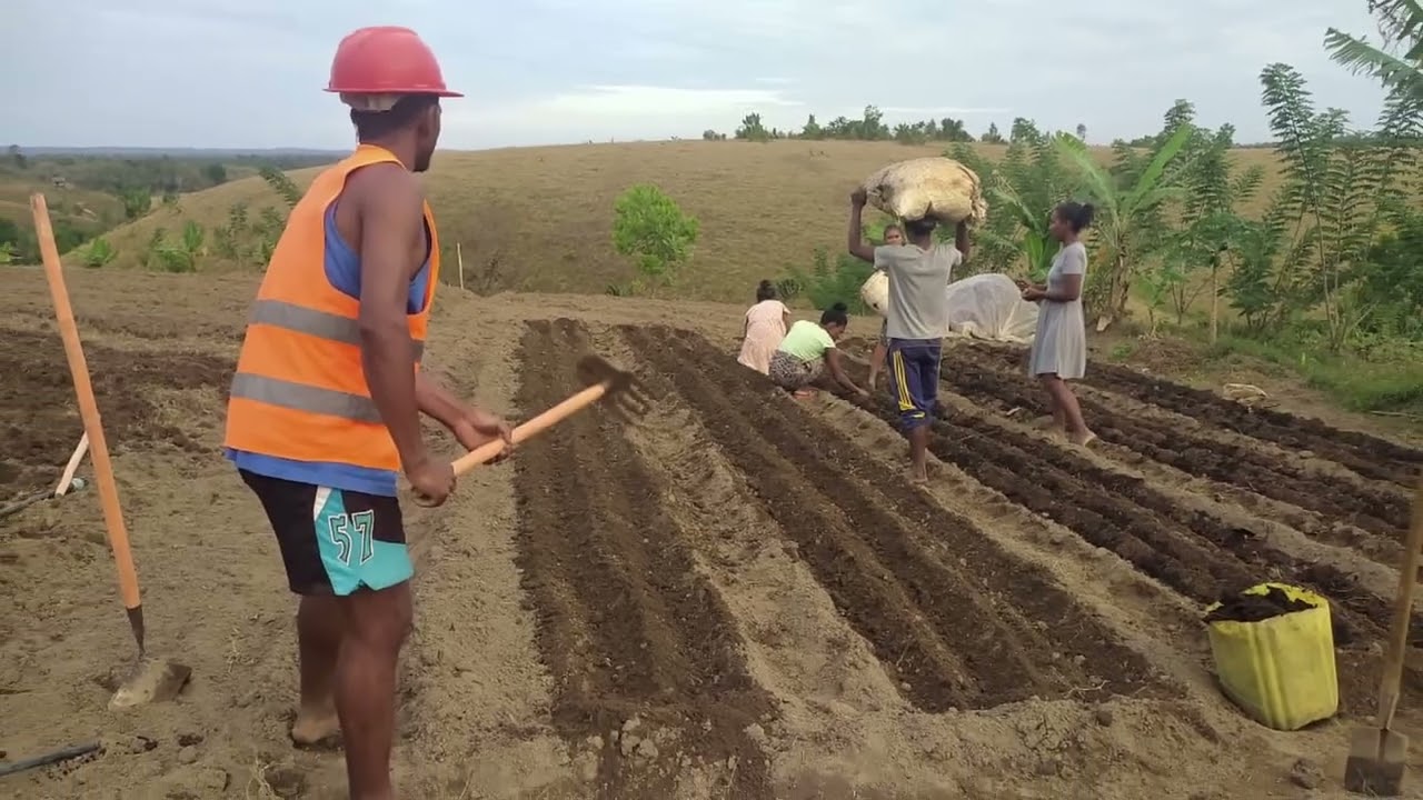 La ferme de l'espoir - Hope Farm Madagascar