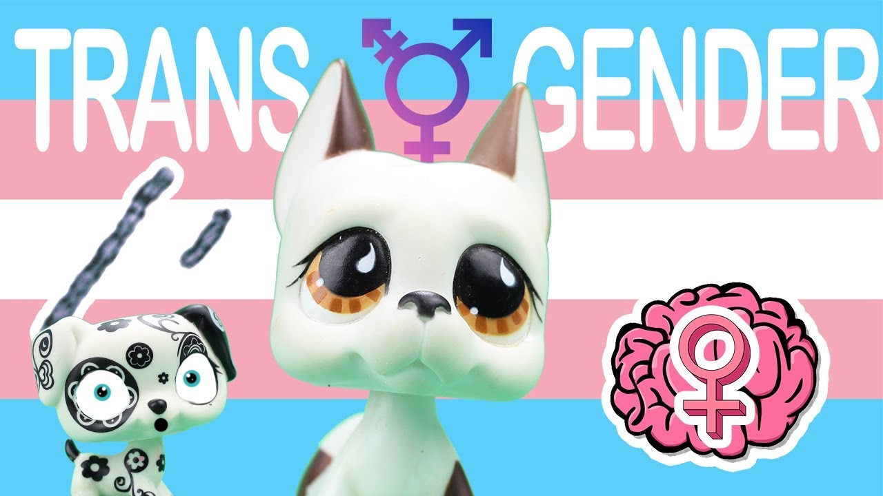 LPS: Transgender 101 - What Is It? | Gender Identity | Dysphoria | Kid's Guide