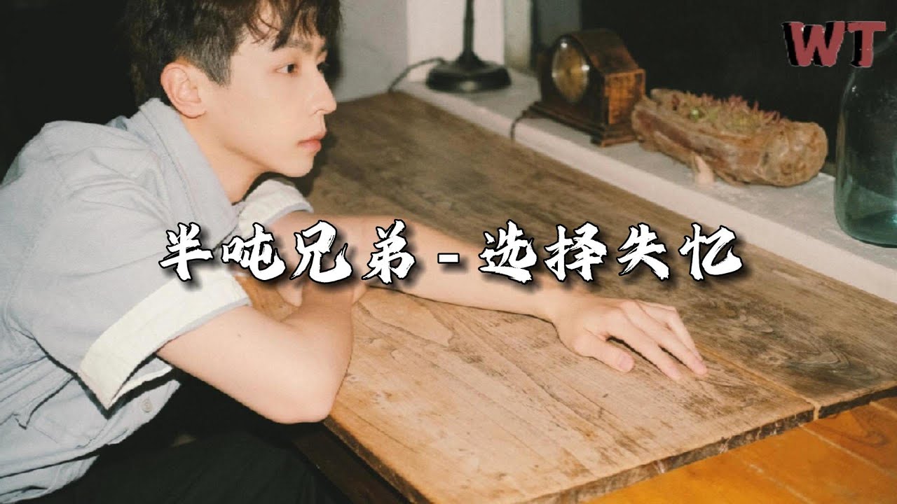 半吨兄弟 - 选择失忆 『如何能选择忘记，忘记每一段过去。』【动态歌词MV】
