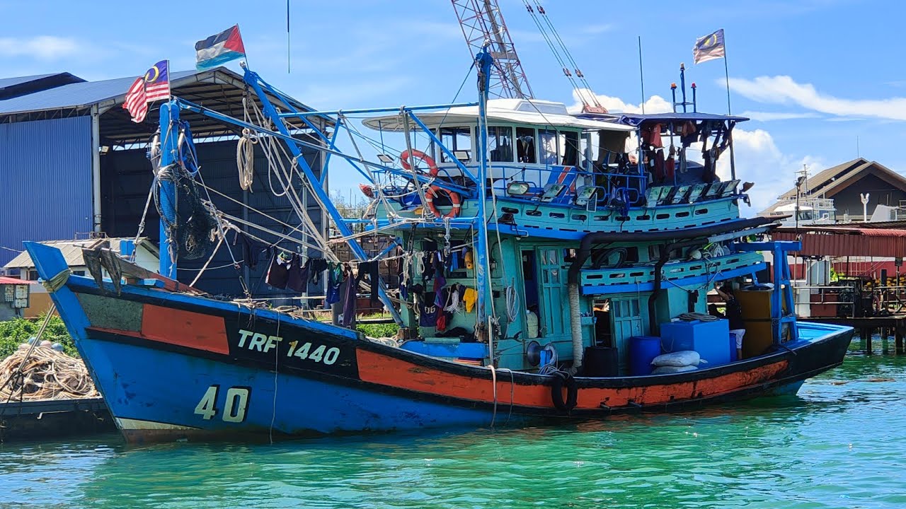 Rezeki ikan aya hitam dan memukat ikan campuran sotong sebelah malam