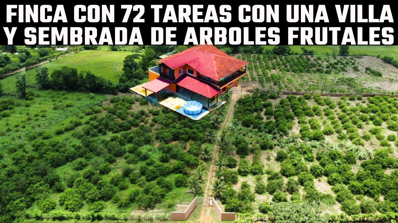 Finca 72 Tareas Sembrada de arboles Frutales: Limones Plátanos Yuca Coco +1 Villa de 4 habitaciones