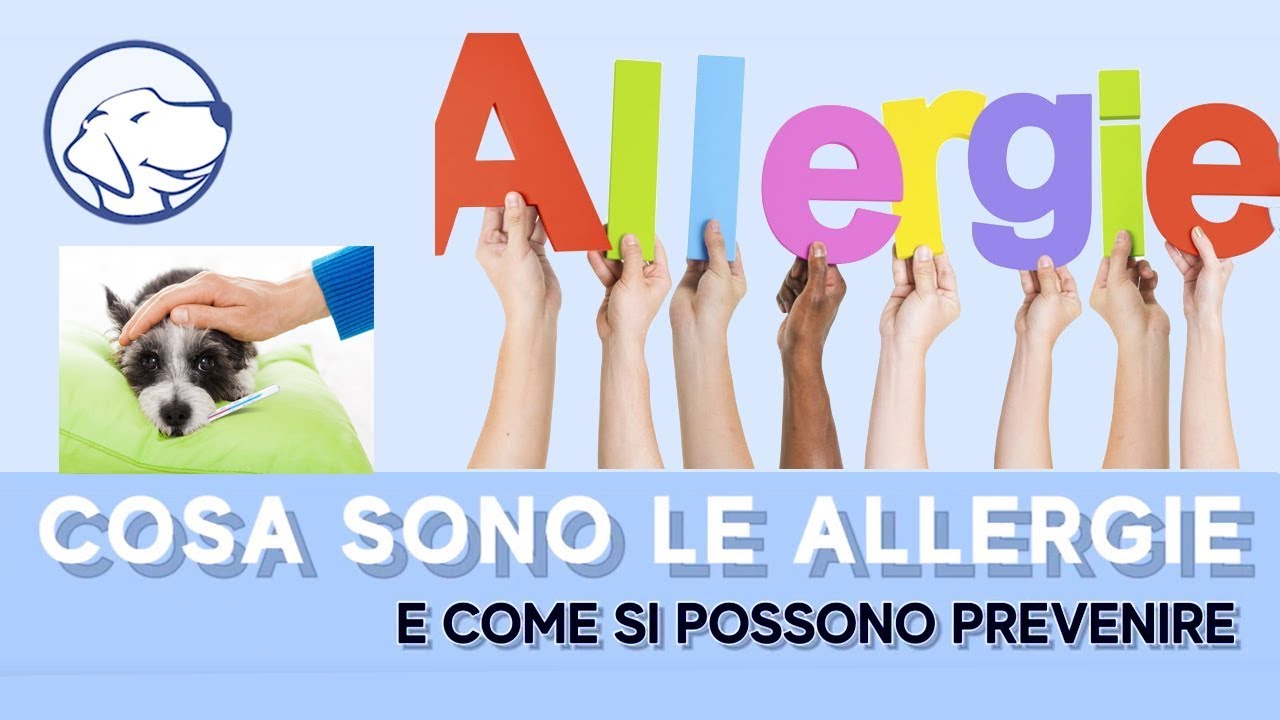Come funziona l'allergia dei Cani e come si può prevenire