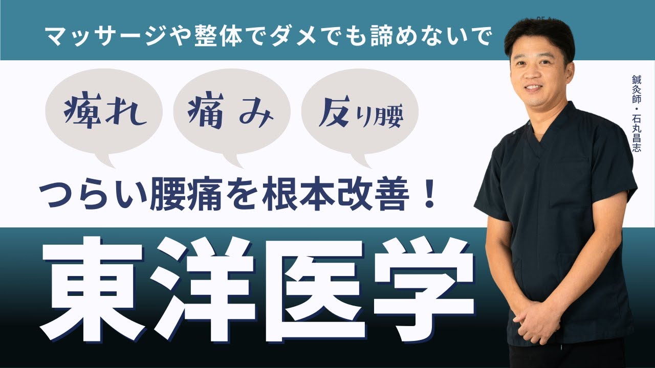 腰痛は腰だけの問題じゃない？東洋医学のアプローチ【新宿・代々木の鍼灸院】