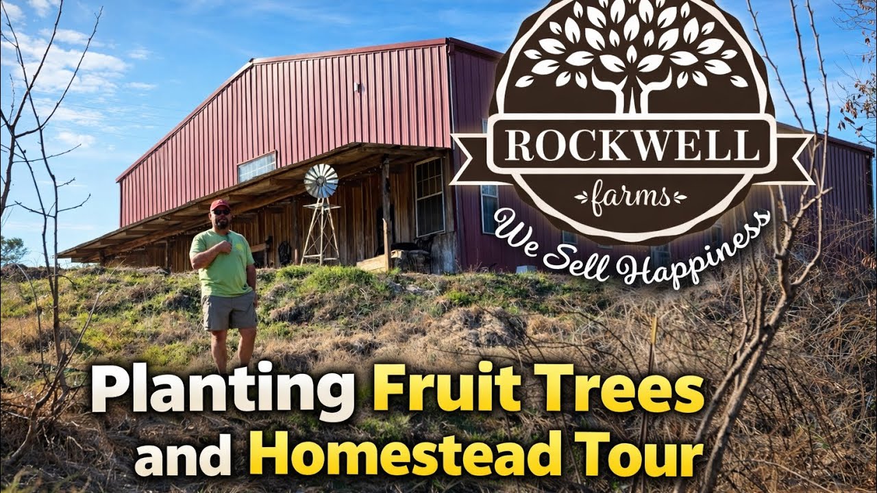 Planting Fruit Trees and Homestead Tour! @ResourcefulLivingHomestead