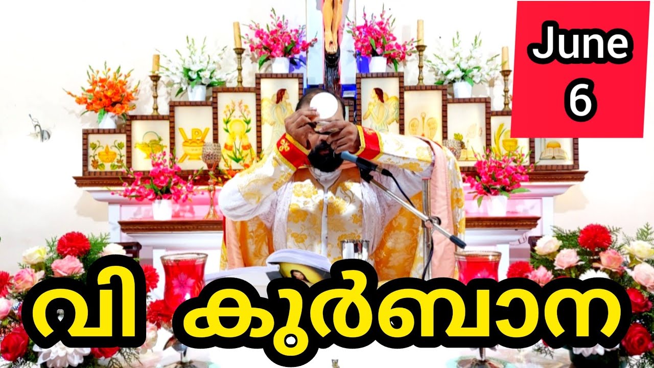 Holy Mass June 6 Saturday Today Malayalam 5.30 am Syromalabar #holymass #live #qurbana #frjinu #mala