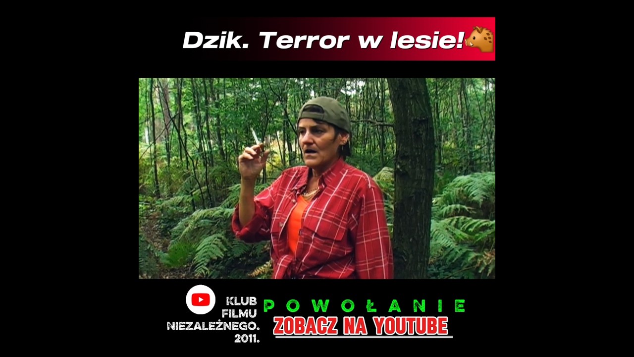 Popuściłach! Dzik. Terror w lesie!🐗 #dzik #powołanie #kfn
