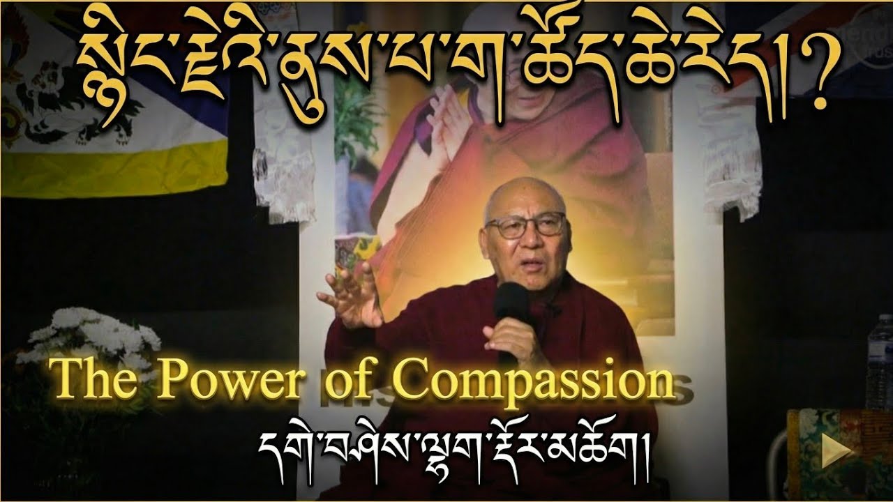 སྙིང་རྗེའི་ནུས་པ་ག་ཚོད་ཆེ་རེད།? | The Power of Compassion | Geshe Lhakdor Rinpoche