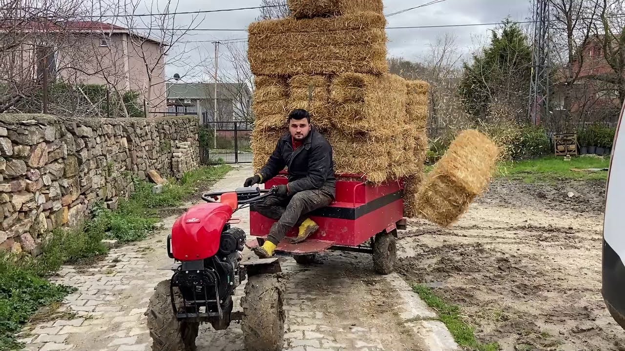PATPAT İLE TEHLİKELİ SAMAN NAKLİYESİ