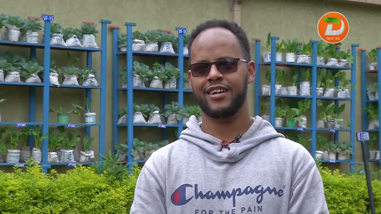 አስደናቂው የከተማ ግብርና በሀዋሳ