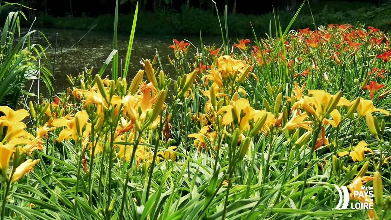 Parc Floral de la Court d'Aron