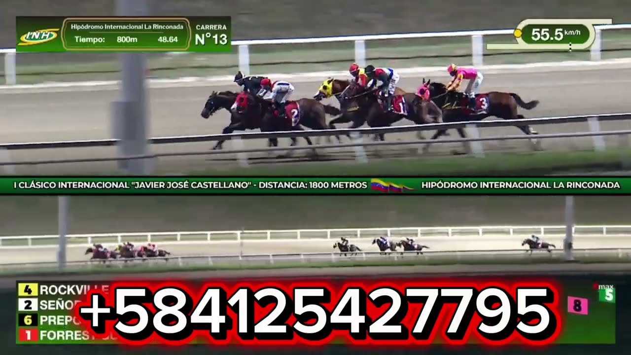 #LARINCONADA DOMINGO 15-02-26 MARCAS, FIJOS, PRONÓSTICOS #HIPISMO 