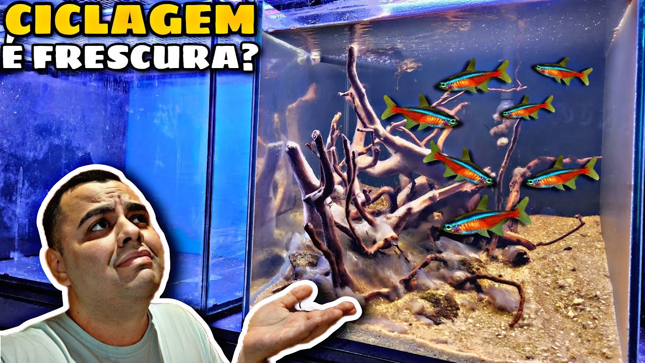POSSO CICLAR AQUÁRIO COM PEIXE?