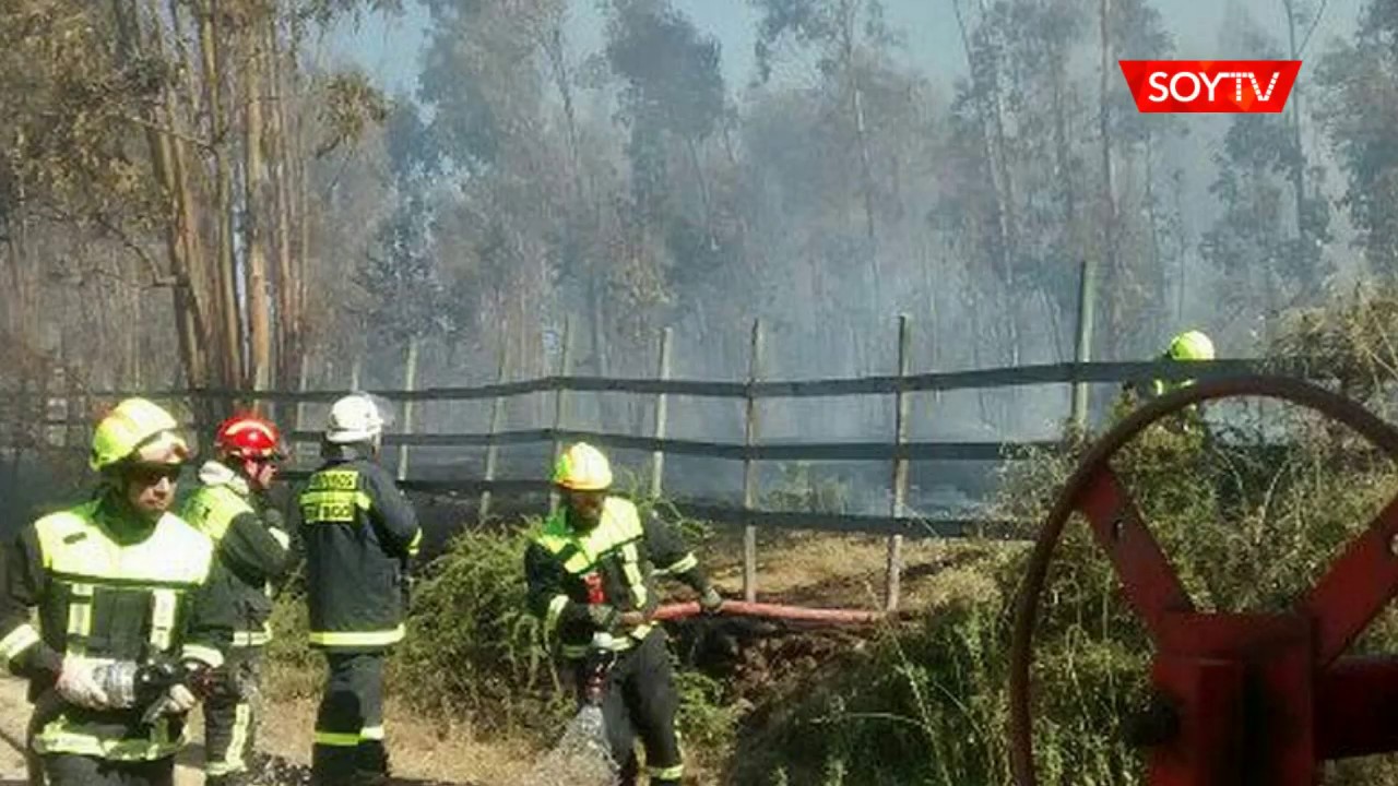 Onemi decret&oacute; Alerta Roja para incendio forestal registrado en Santo Domingo