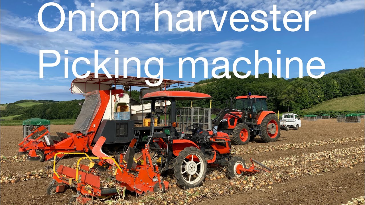 Kubota Onion Harvester Picking Machine#farminglife#japan#onion#machine