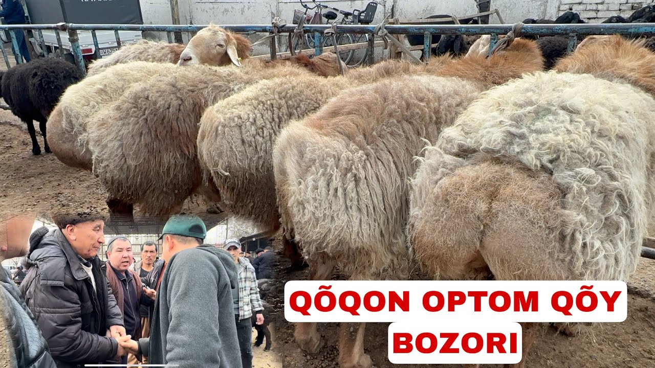 QÕQON OPTOM QÕY BOZORI SAVDOLAR BOZORDA AVJIDA QÕYLAR TUGAP KETYAPTI KÕRINGLAR